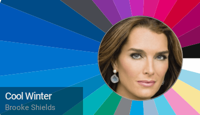 Cool winter color palette