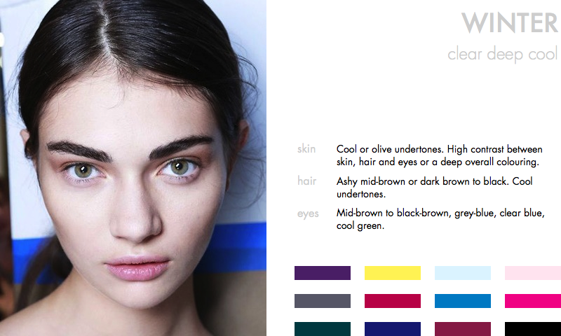 Winter color palette